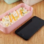 Japansk Bentoboks Okologisk 5