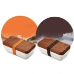 Japansk Bentoboks Sushi 1