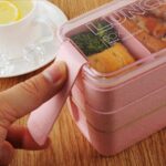 Japansk Bentoboks Vanntett 6