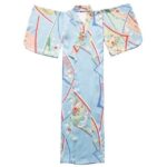 Japansk Kimono Kvinner Monster Bla Blomster 2