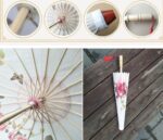 japansk paraply kirsebaerblomst 2