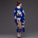 kimono damer lang 2